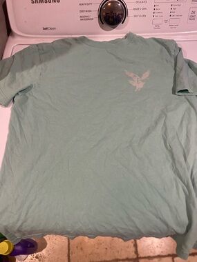American Eagle Men's Light Mint Graphic T-Shirt
